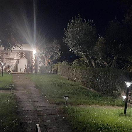 Casa Das 3 Palmeiras Arraiolos Exterior foto